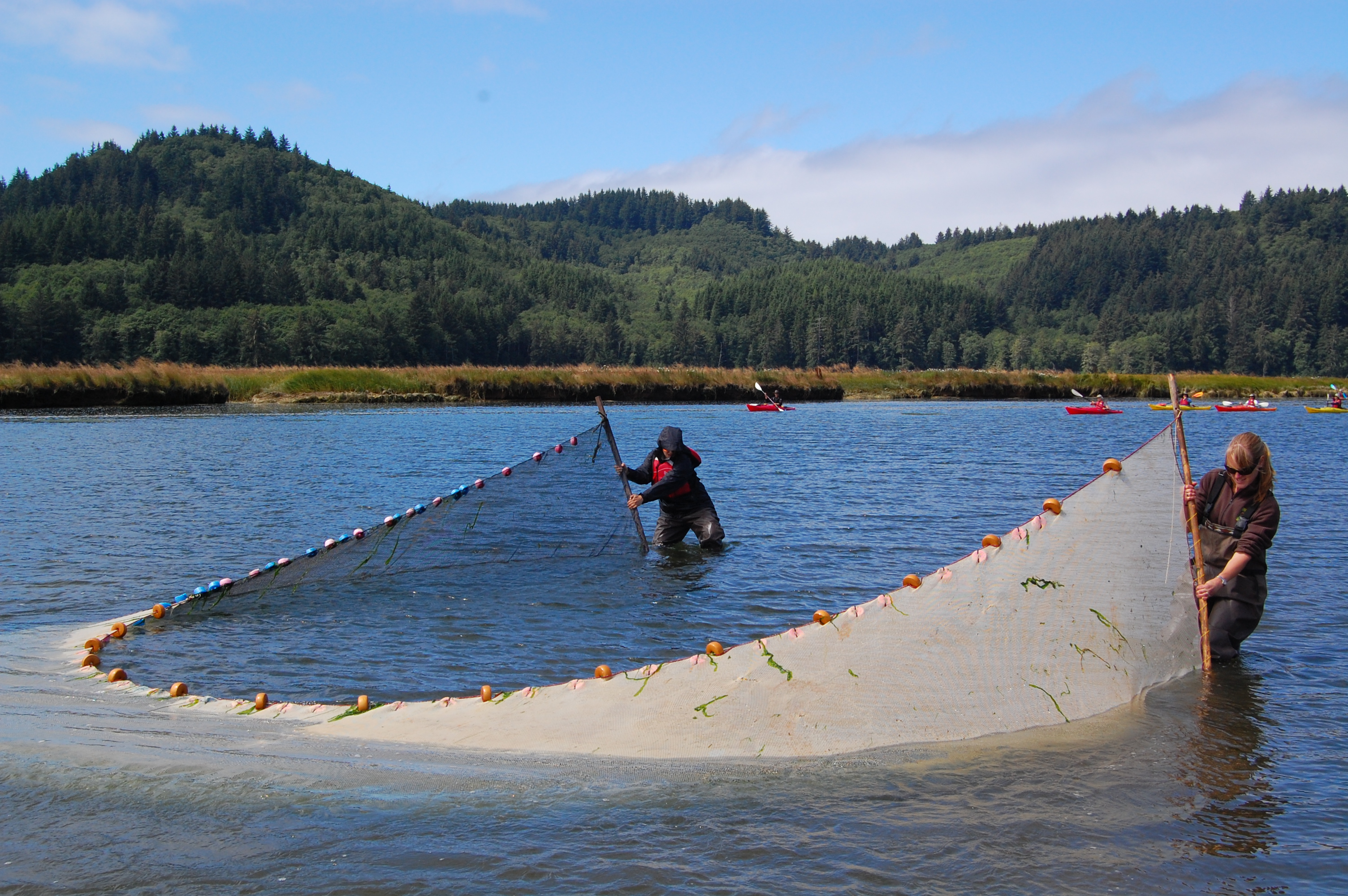 Salmon River net work
