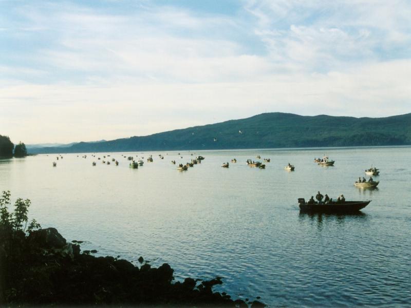 Umpqua fishery